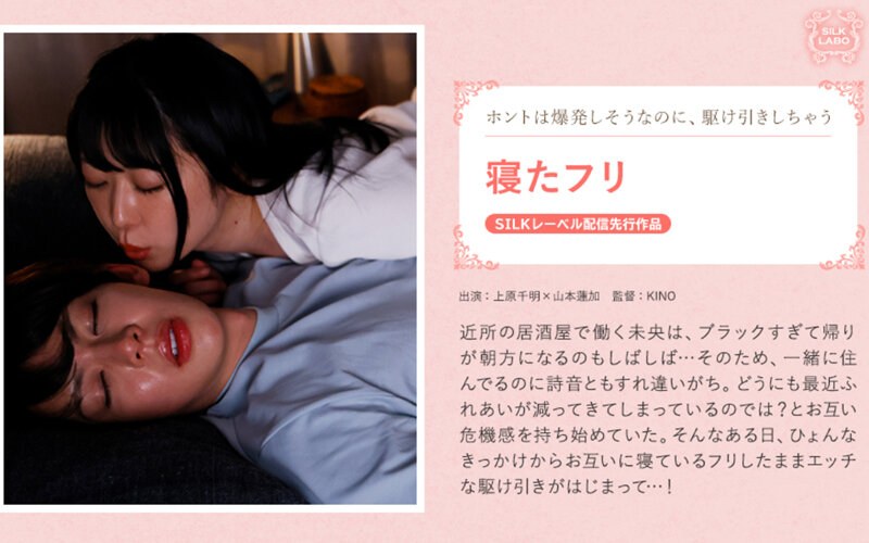 잠자리