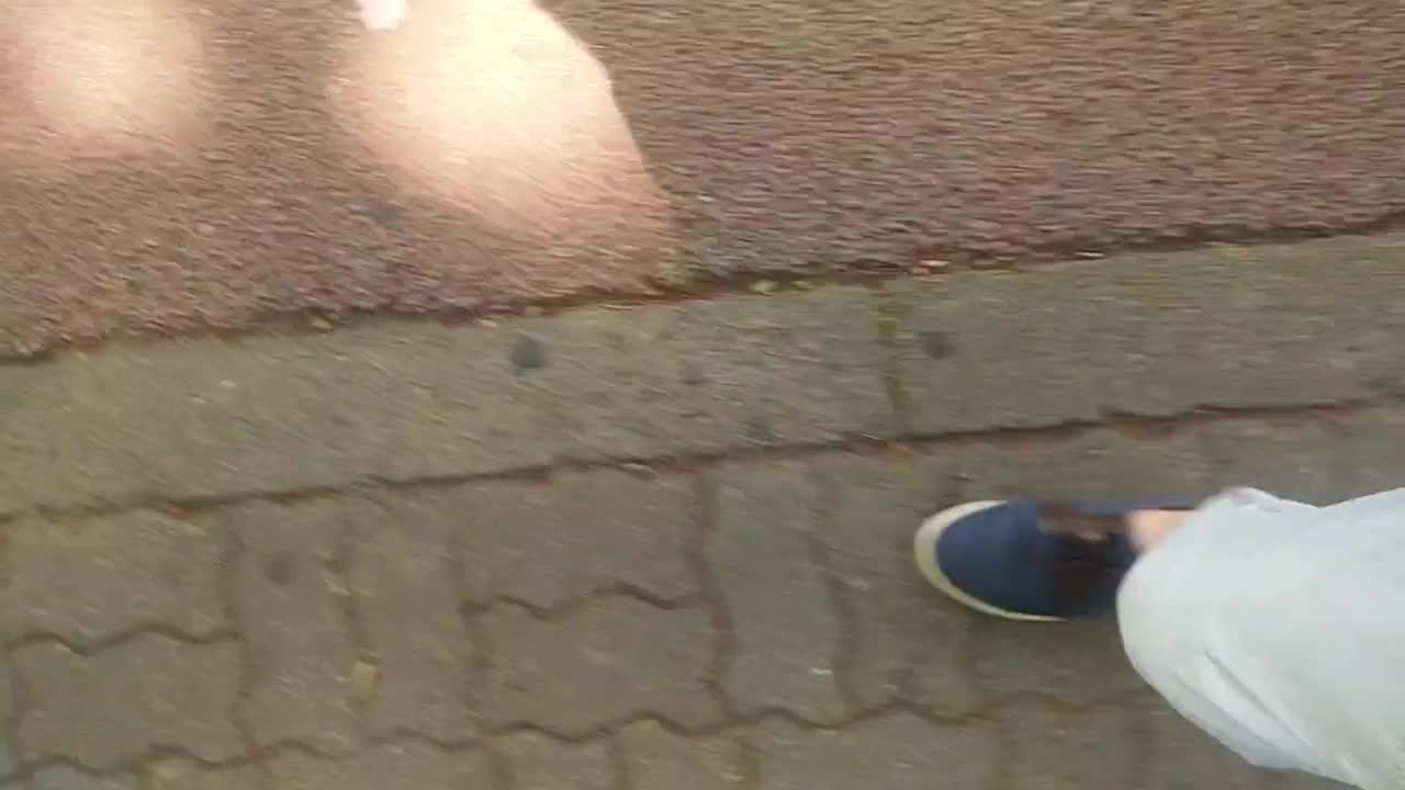좆 잡고 인사하는 변태새끼